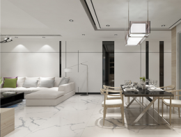 柔光磚，已經(jīng)進(jìn)階成一個(gè)品類(lèi)