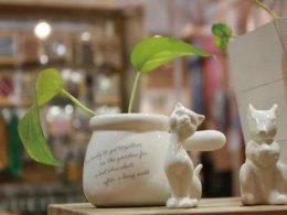 柔光·地標(biāo) | 最不容忽視的優(yōu)雅，是對生活的不將