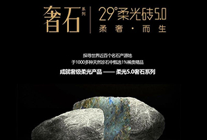 奢之形，柔之境—— 一圖看懂29°柔光奢石系列