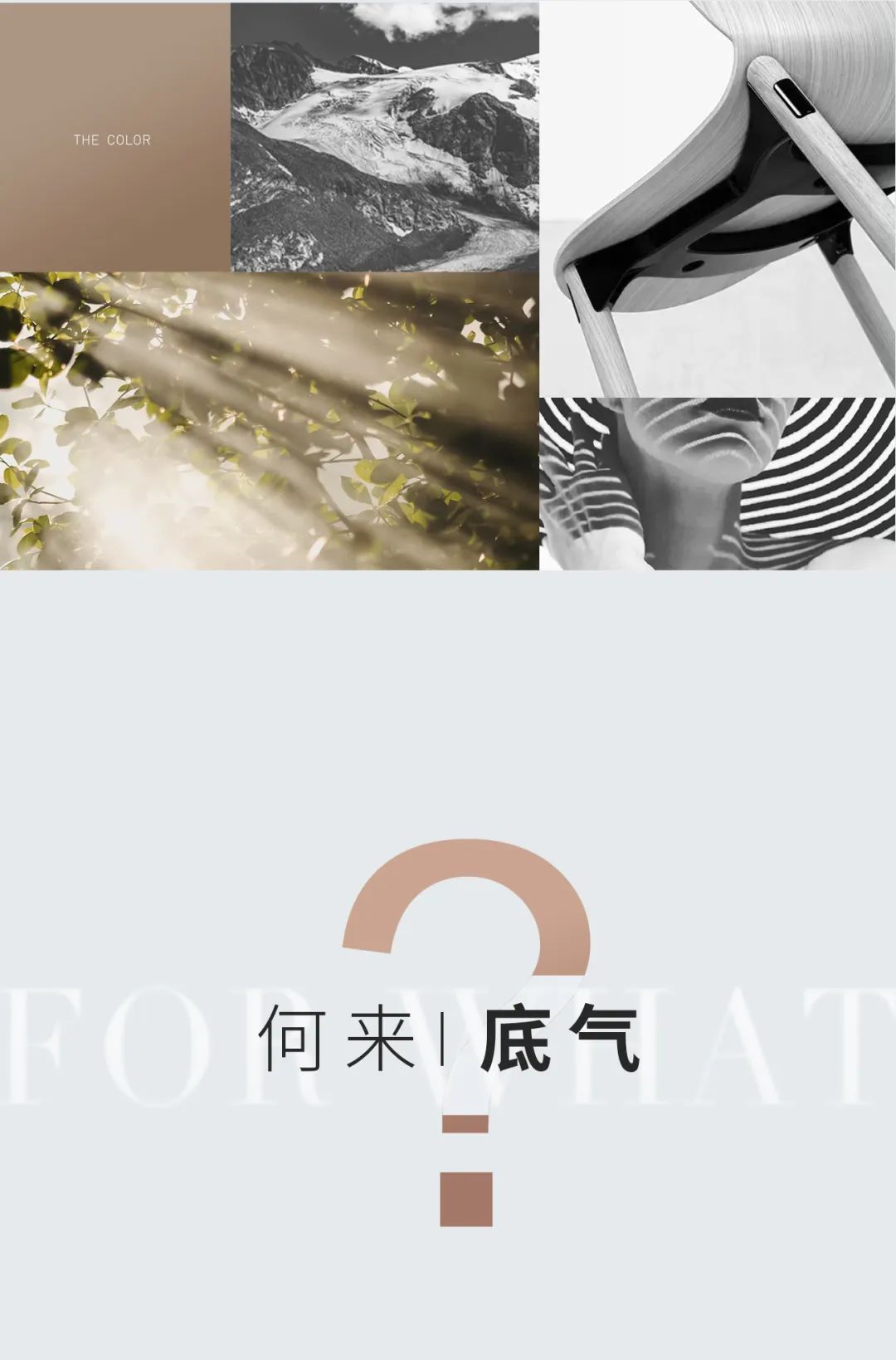 29°柔光 | 因為熱愛 ， 所以堅持(圖4)